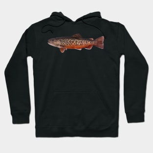 Tiger Trout Hoodie